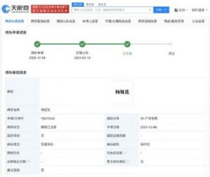 名字注册商标查询的重要性分析