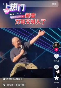 刀郎演唱会门票为何成“尽孝硬通货”？