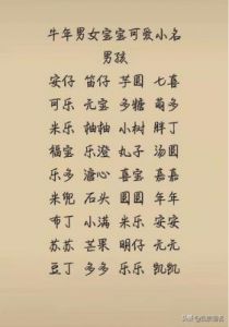 金龙之年：为宝宝起个独特好名字