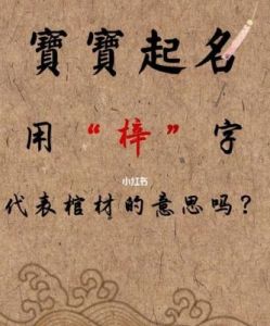 属龙女孩名字中的“梓”字文化探秘