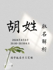 为胡姓宝宝取名的实用建议