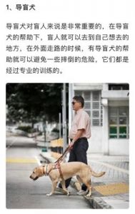 犬：人类最好的朋友与伙伴