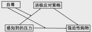 《应对压力的有效策略：雅哥的分享》