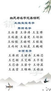 宝宝取名打分：选择完美名字的指南