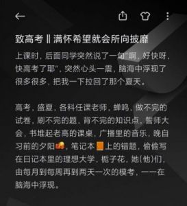 “拼搏精神的典范：王悦伊的高考故事”