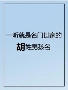 为胡姓男孩选名：寓意与文化解析