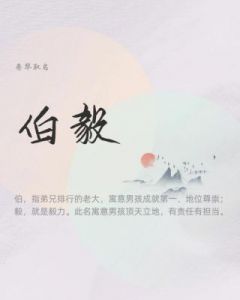 名字的力量：解析“林婉”的意义与影响