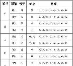 免费生辰八字取名：解析命运与运势