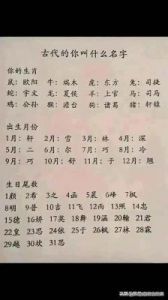 生辰八字起名大全指南