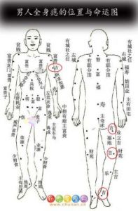 绝对好名：宝宝起名的智能助手