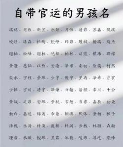 男孩名字大全：寓意与选择指南