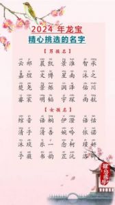 2024龙年女宝宝名字推荐与寓意解析