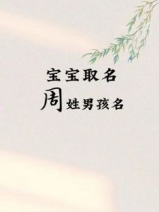 优雅而富有寓意的周姓男孩名字选择