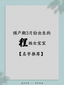 程龙年女宝名字精选与寓意探讨