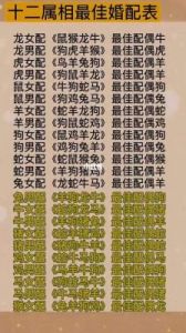 1997年属鼠男的婚配建议与性格解析