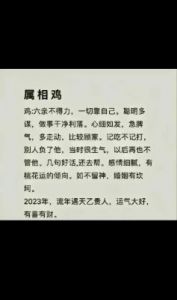 属鸡人与属狗人的性格冲突解析