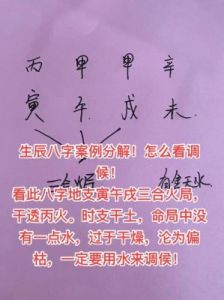 《生辰八字自查：探索传统文化魅力》