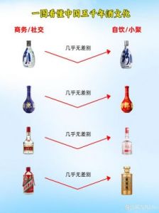 中式酒文化与经济发展的深度探索