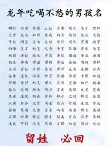 龙年男宝宝吉祥名字推荐