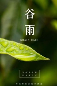 谷雨：生命复苏与自然和谐的象征