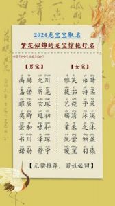 2024年龙宝宝男孩名字推荐与技巧