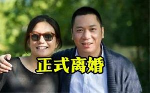 赵薇宣布已离婚，前夫债务11亿被追讨，白手套撬动50倍杠杆