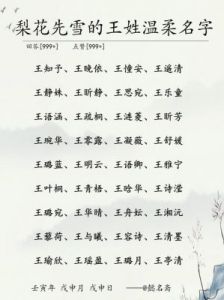 名字中的“王”与“水”：象征与影响探析